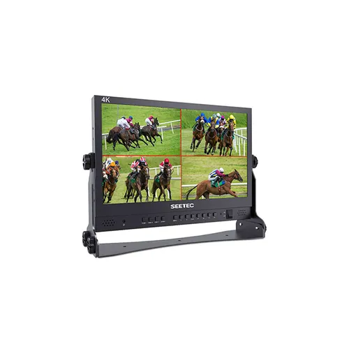 Director Monitor 15.6