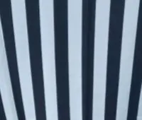 Tablecloth - Black and White 