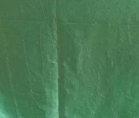 Tablecloth - Light Green Taffeta 