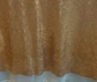 Tablecloth - Gold Lace Sequence 