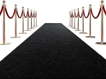 Black Stanchion Post and Black Carpet Setup