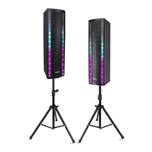 Portable Bluetooth PA Speaker System