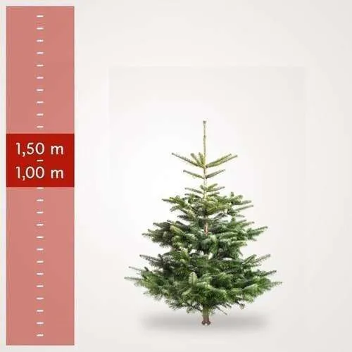 Small Christmastree 100 cm