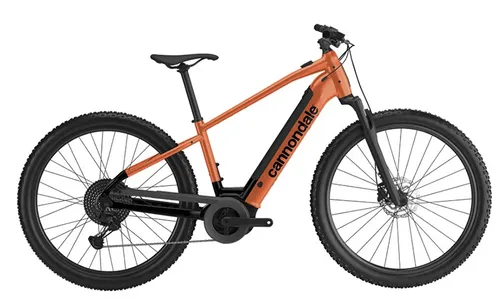  E-MTB 