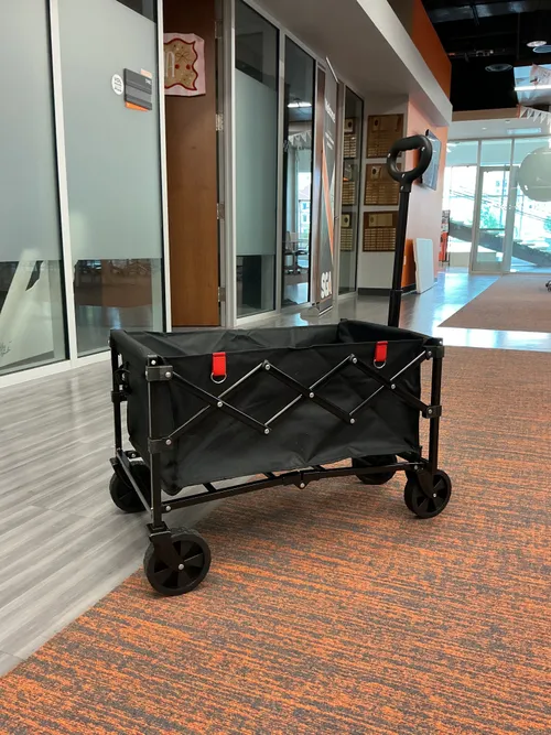 Mini Collapsible Wagon