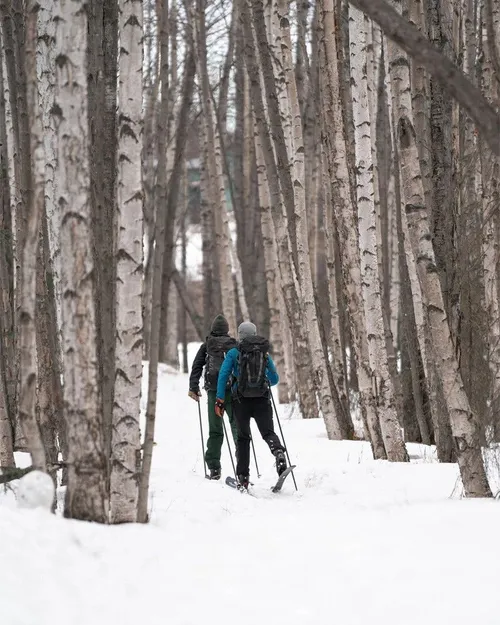 Nordic Backcountry Ski