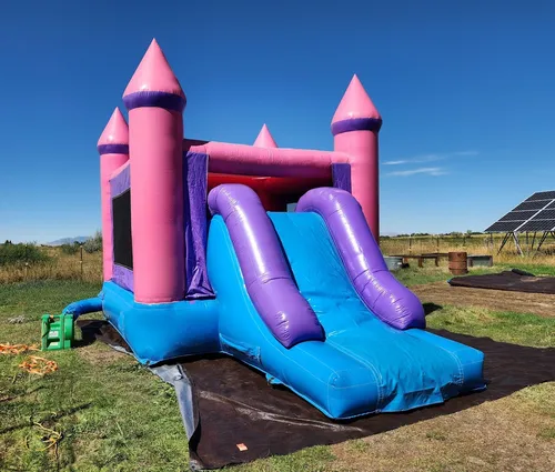 Pretty in Pink Combo (Dry Only)