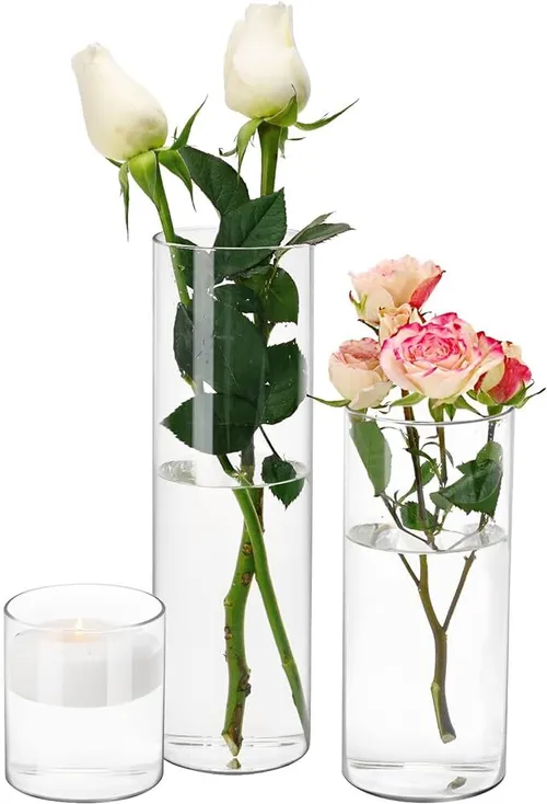 Cylinder Vases - Various Sizes