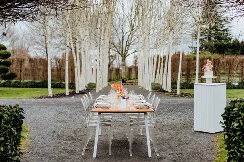 Birch Dining Table & Ghost Chairs Combination