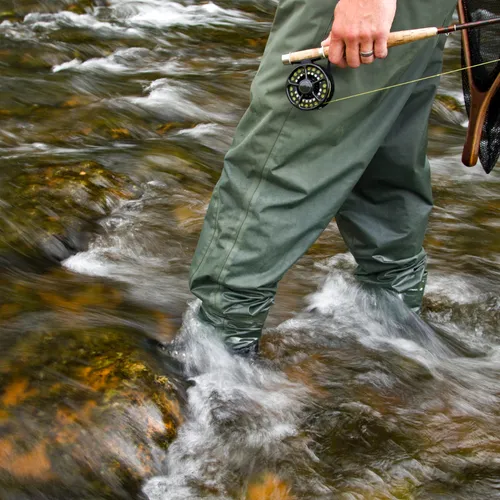 Trout Fishing Wade Trip - Full Day 