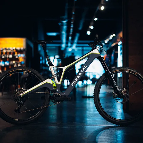 Forestal Siryon Edition One