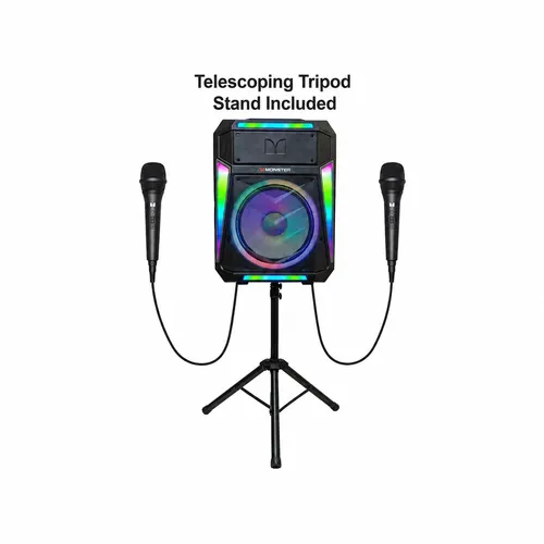 SPEAKER + 2 MICS (PickUp or Delivery)