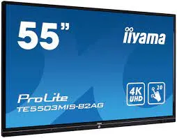 iiyama 55