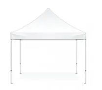 10' X 10' Easy Up Canopy with sides
