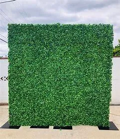 Boxwood greenery wall