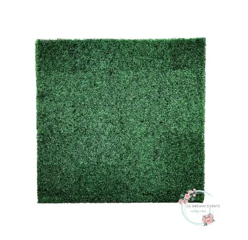 Boxwood Backdrop 7’x7’