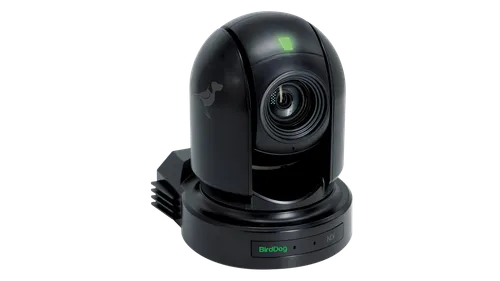 BirdDog P200 PTZ Camera (Black)