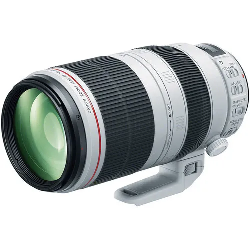 Canon EF 100-400mm f/4.5-5.6 IS L II