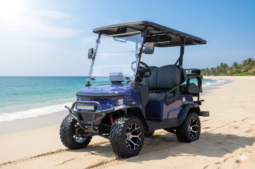 SAN PANCHO FLEET AZUL