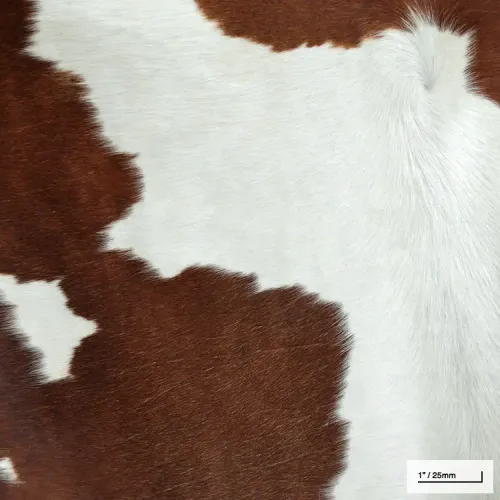 Cowhide - rug