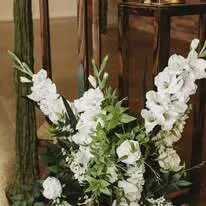 Lola Collection - Meadows