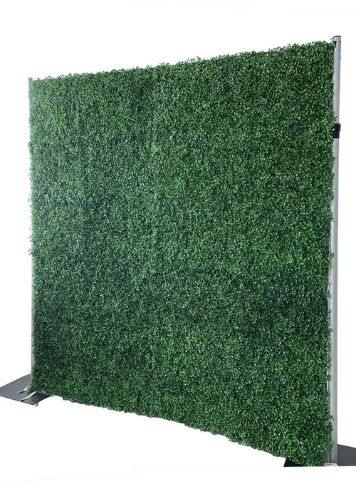 Boxwood Photo backdrop
