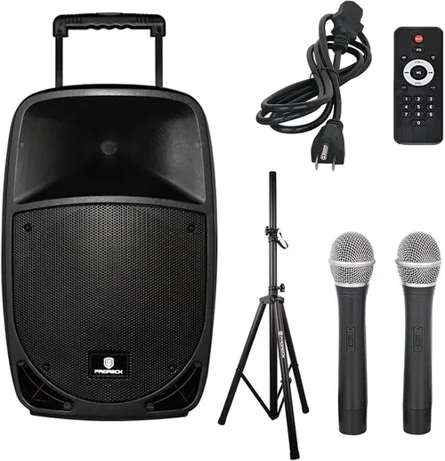 Portable Speaker system