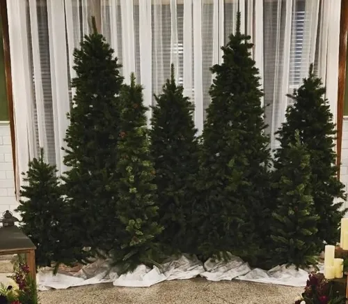 Pine trees - call for pricing