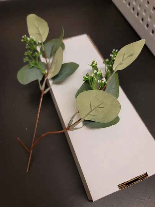 Eucalyptus Stems 24pk