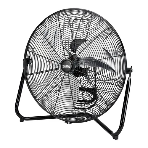 Fan