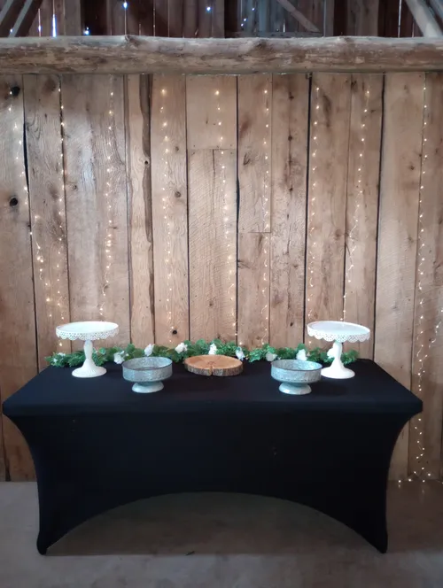 Chicken Wire Dome Stand