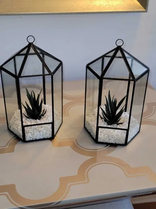 Black Succulent Terrarium 