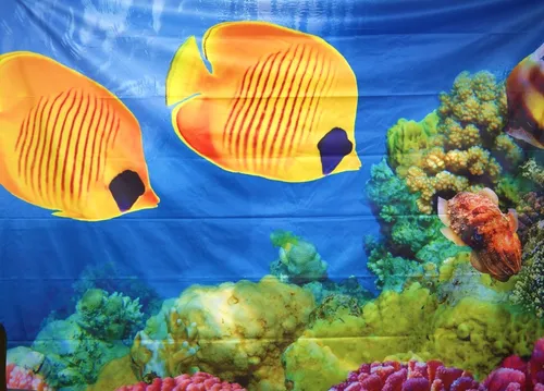 Visual fish aquarium 3x2m