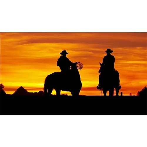 Western - Visual Horses Sunset 3x2m