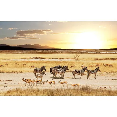 Safari - Visual Zebras 3x2m