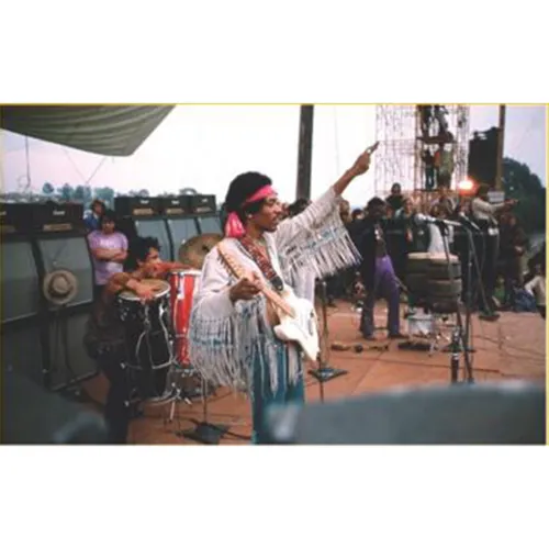 Flower Power - Visual Hendrix 3x2m