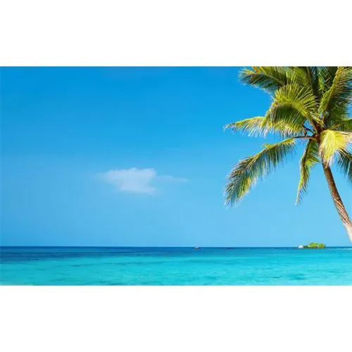 Tropical - Large Palmtrees Visual 3x2m Part 1