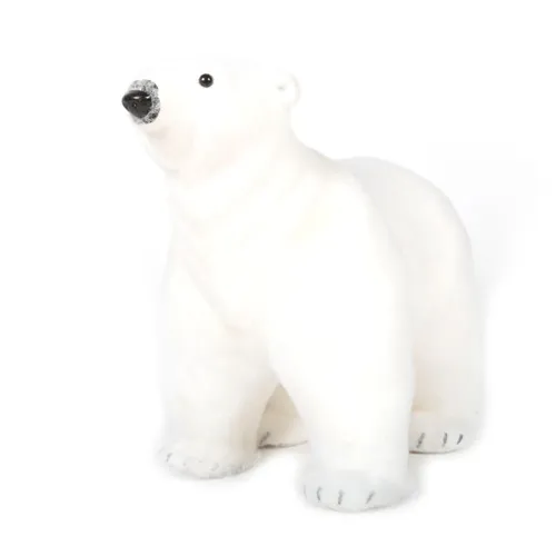 Polar bear
