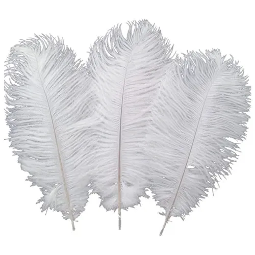 Ostrich White Feathers