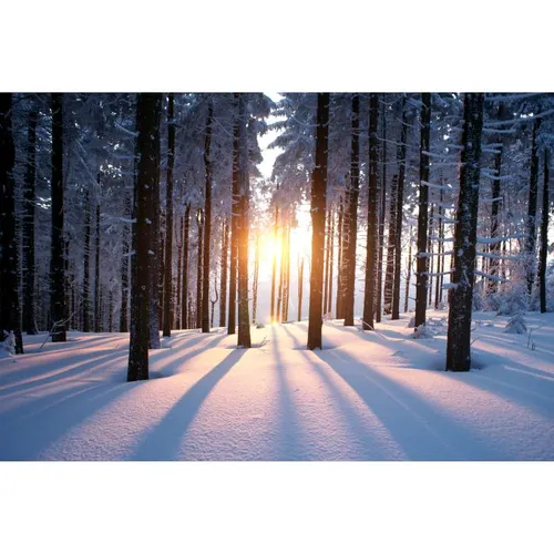 Christmas / Winter - Visual Forest 4x2.1m