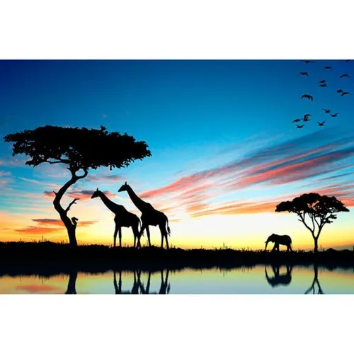 Safari - Visual Giraffes Shadow 3x2m