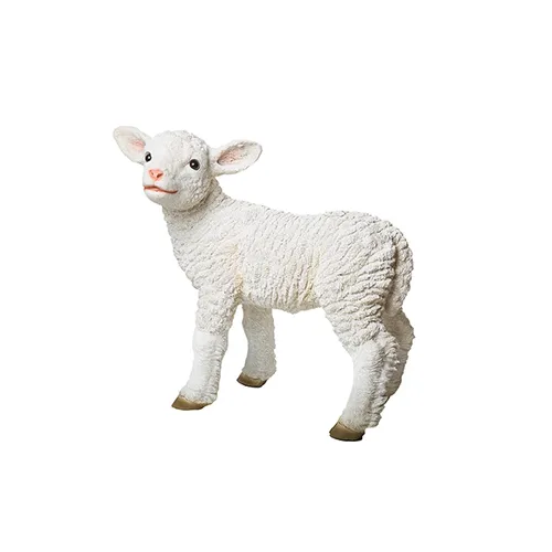 Lamb