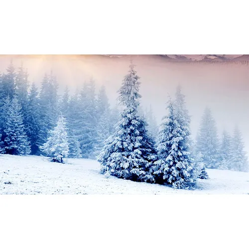 Christmas/Winter - Visual Snowy Trees 3x2m