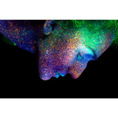 Fluo - Visual Face Down 3x2m