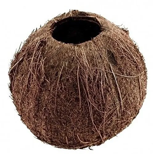 Coconut decoration