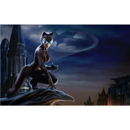 Superheroes - Visual Cat Woman Gotham City
