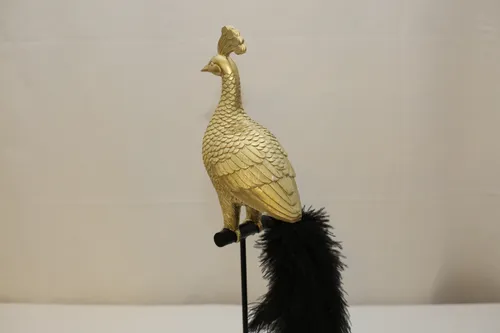 Golden and black peacock