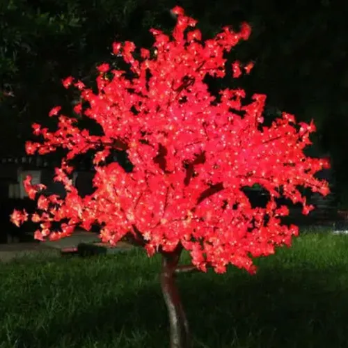 Luminous Tree Pink Maple 