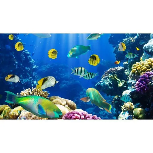 Aquarium - Visual Reef 3x2m