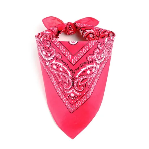 Pink Bandana 